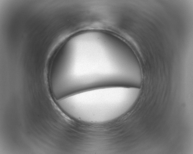 X0000069401464200605121010