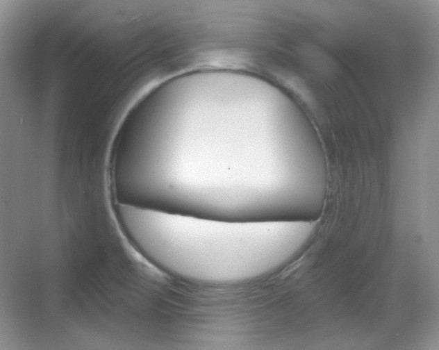 X0000069401471200605121010