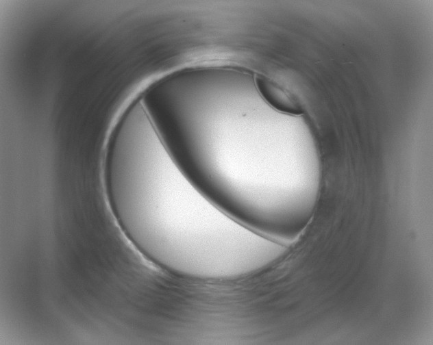 X0000069401472200605121010