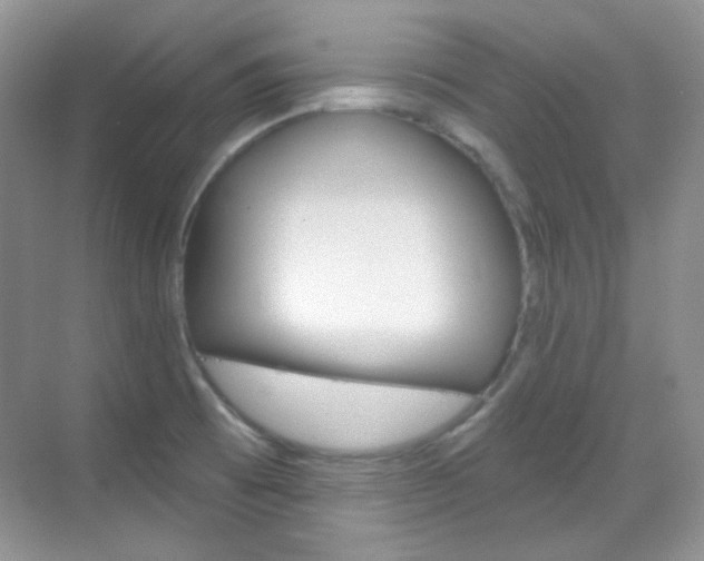 X0000069401473200605121010
