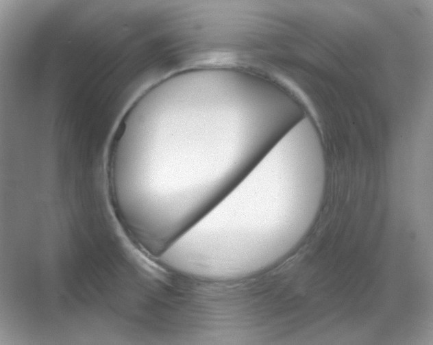 X0000069401475200605121010