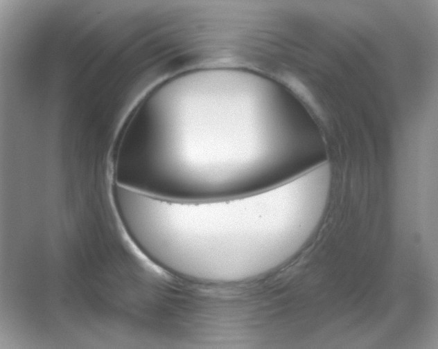 X0000069401476200605121010