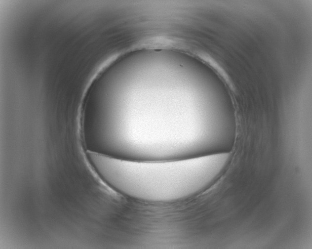 X0000069401477200605121010
