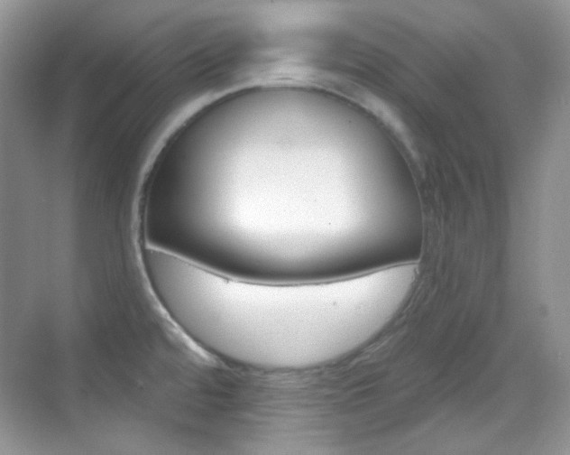 X0000069401480200605121010