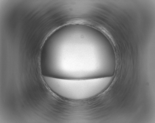 X0000069401481200605121010