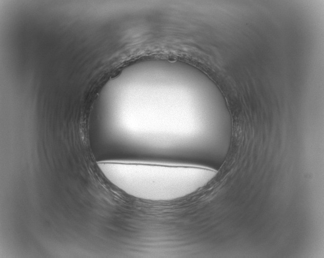 X0000069401490200605121009
