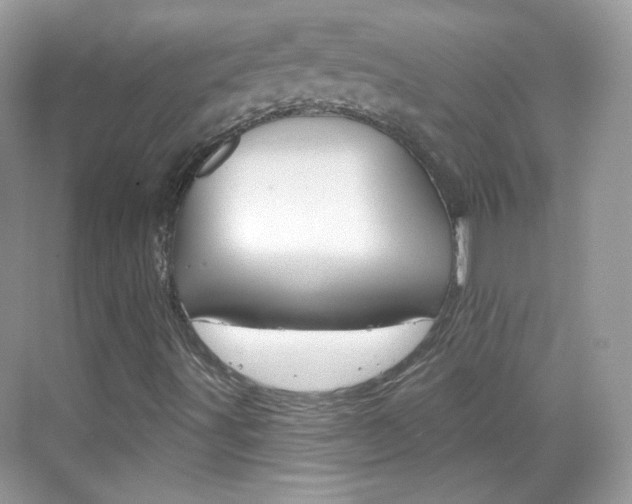 X0000069401491200605121009