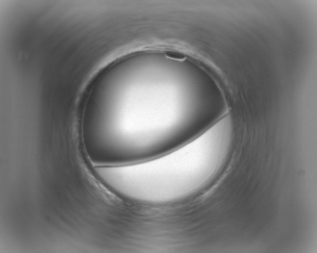 X0000069401506200605121010