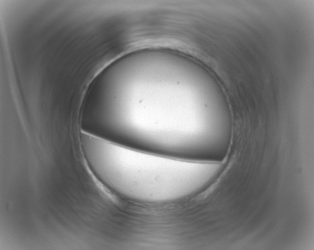 X0000069401521200605121010