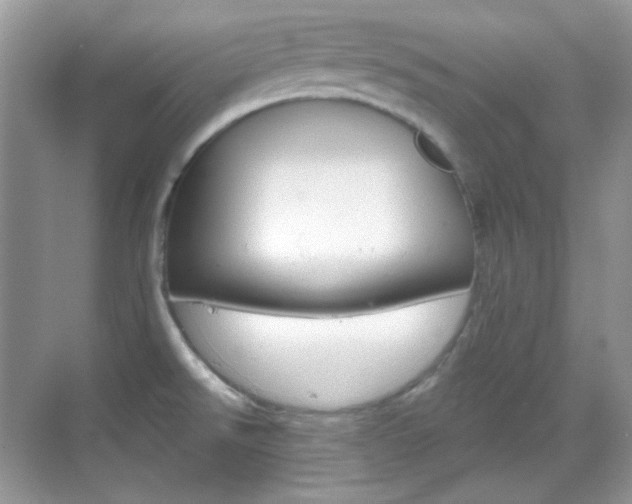 X0000069401526200605121010