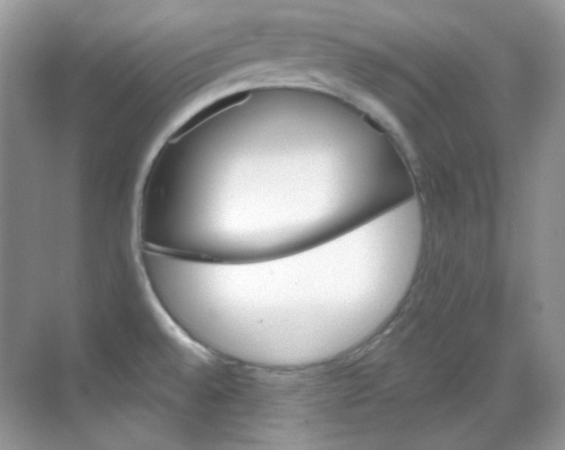 X0000069401528200605121010