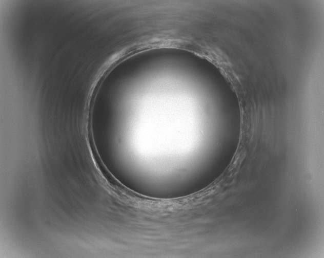 X0000069400003200605121227