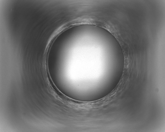 X0000069400004200605121227