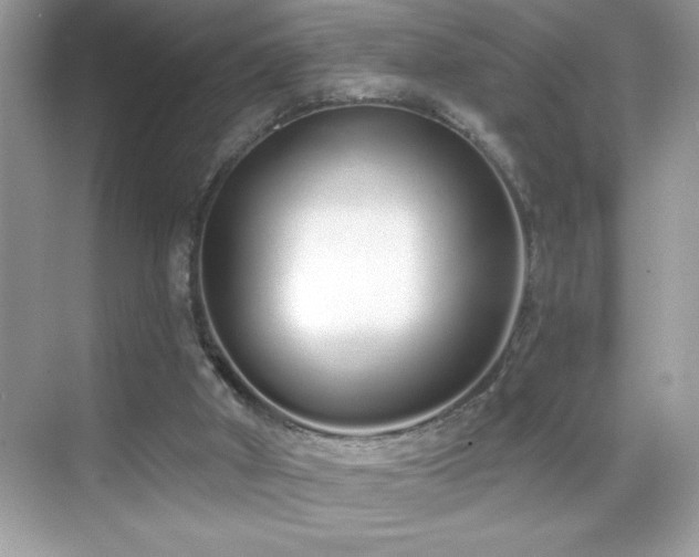 X0000069400010200605121227
