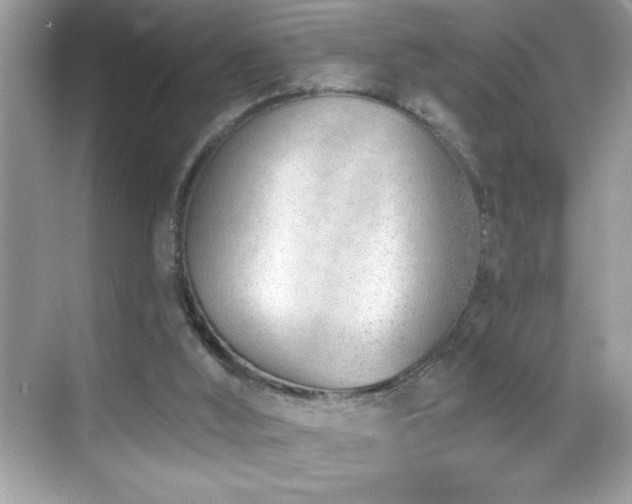 X0000069400012200605121227
