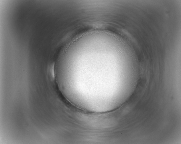 X0000069400028200605121227