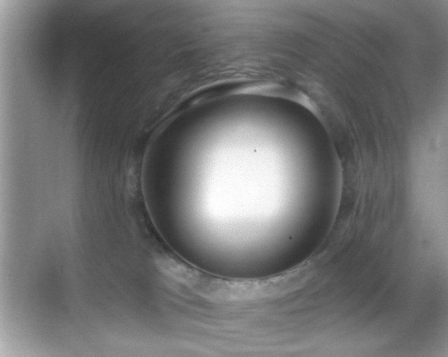 X0000069400037200605121227