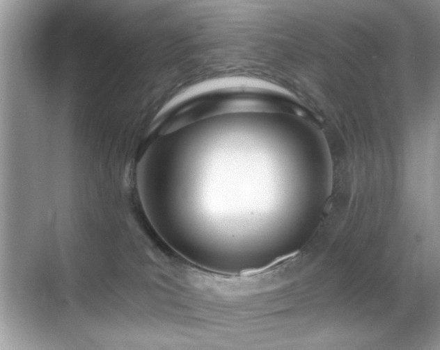 X0000069400039200605121227