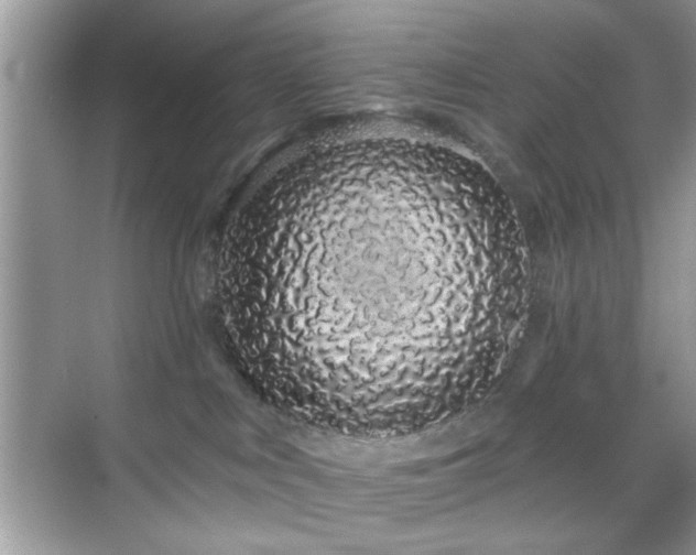 X0000069400043200605121227