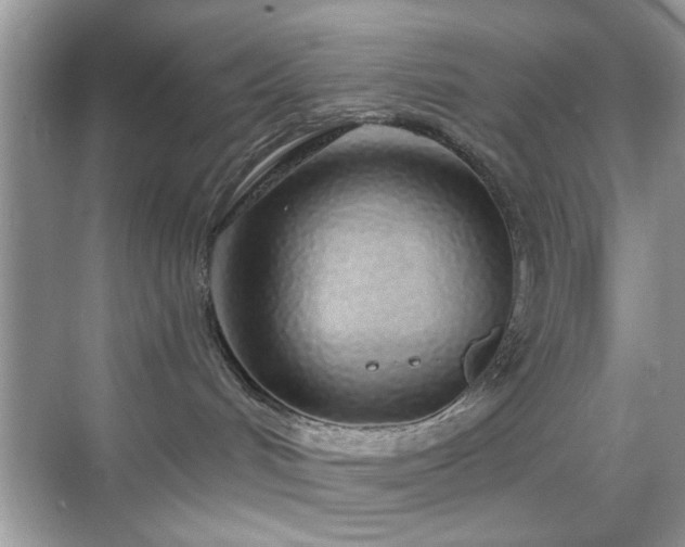 X0000069400048200605121226