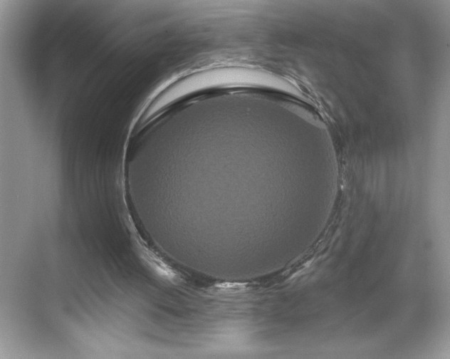 X0000069400052200605121226