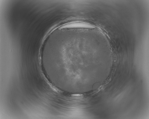X0000069400053200605121226