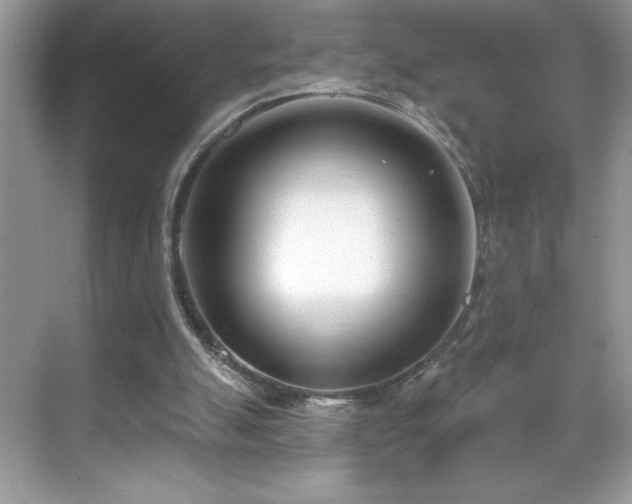 X0000069400055200605121226