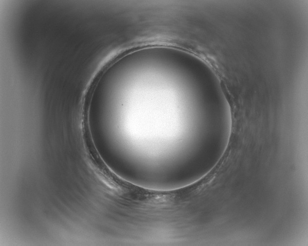 X0000069400056200605121226