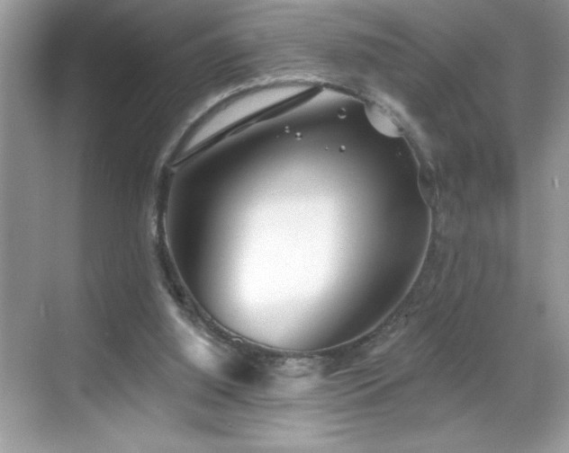 X0000069400060200605121226