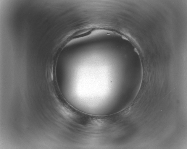 X0000069400062200605121226
