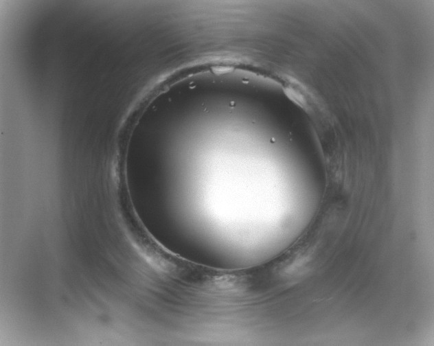 X0000069400064200605121226