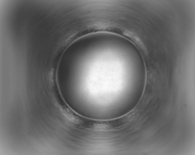 X0000069400066200605121226