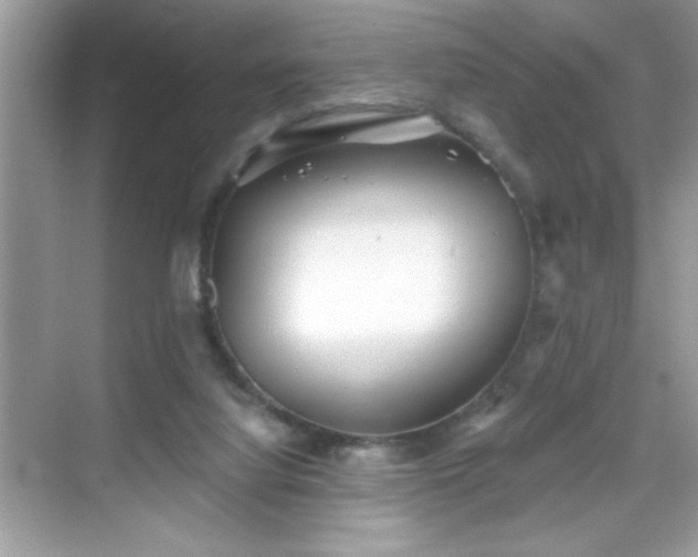 X0000069400068200605121226