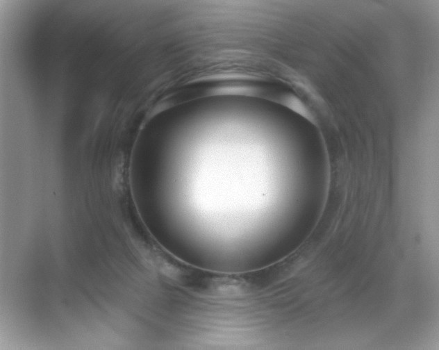 X0000069400073200605121226