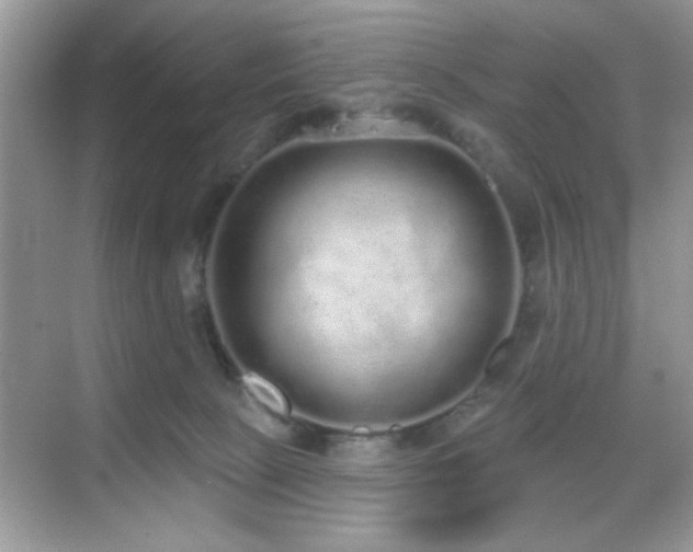 X0000069400081200605121226