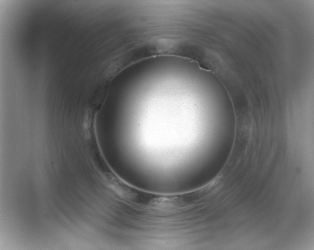 X0000069400082200605121226