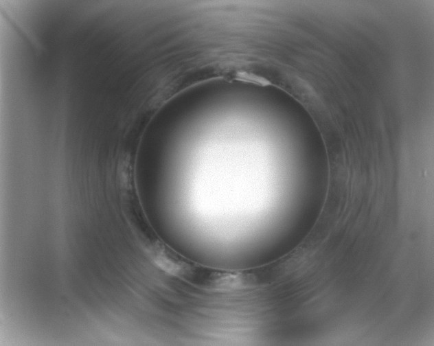X0000069400083200605121226