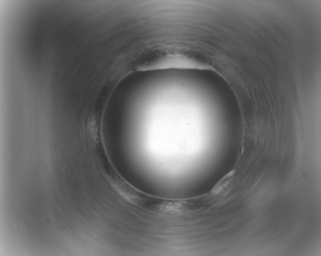 X0000069400086200605121226
