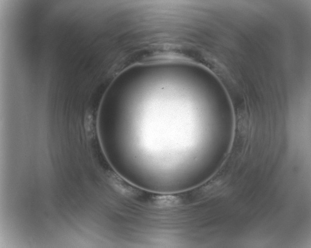 X0000069400087200605121226