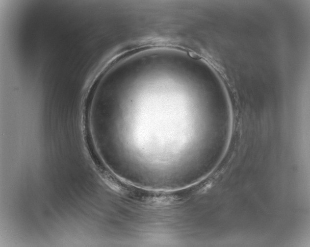 X0000069400103200605121226