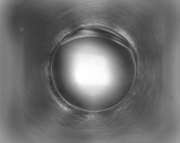 X0000069400105200605121225