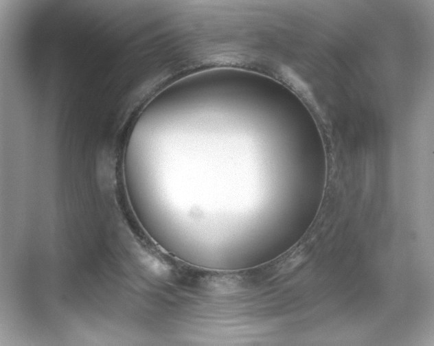 X0000069400106200605121225