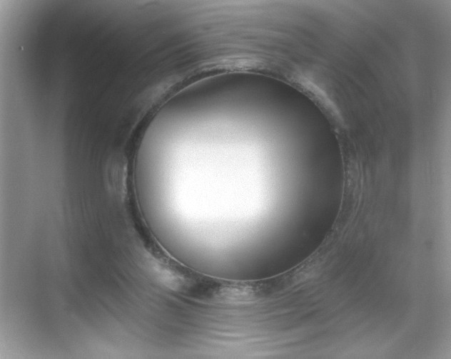 X0000069400110200605121225