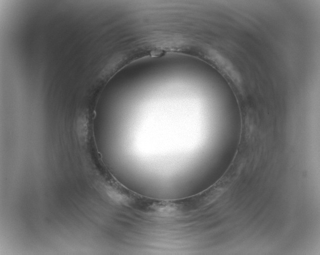 X0000069400113200605121225