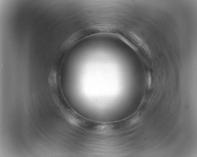 X0000069400117200605121225