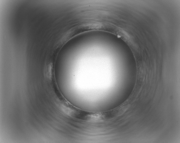 X0000069400118200605121225
