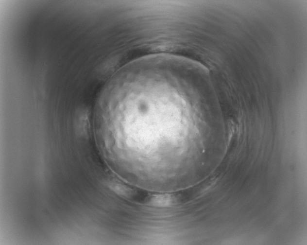 X0000069400127200605121225