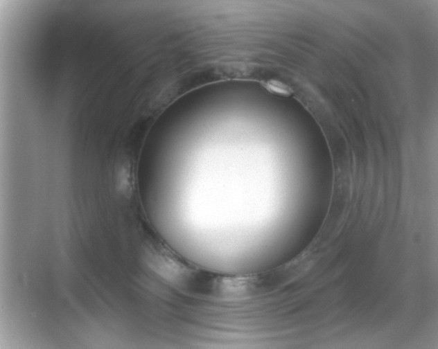 X0000069400134200605121225