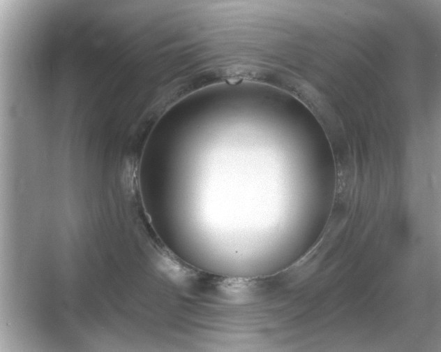 X0000069400142200605121225