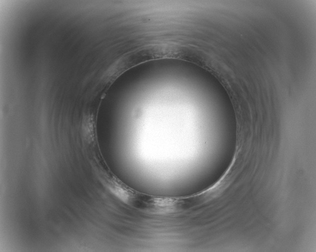 X0000069400144200605121225